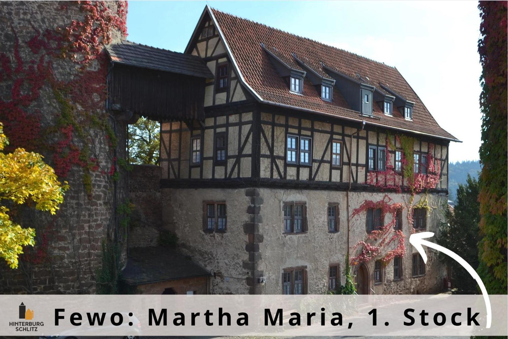 Apartment Graefin Martha Maria - Design-apartment In Der Historischen Hinterburg - Nahe Fulda *